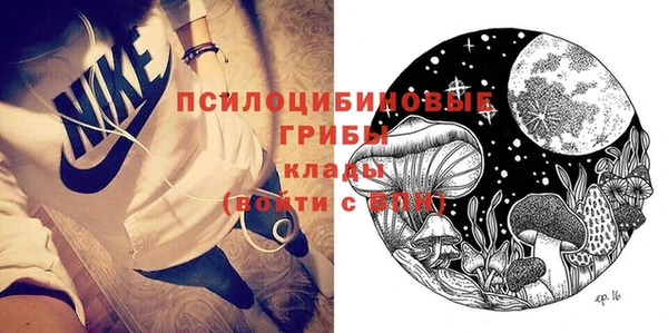 эйфоретик Новозыбков