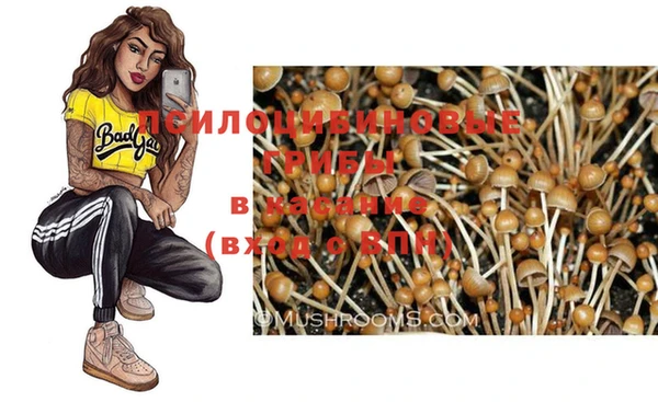 эйфоретик Новозыбков